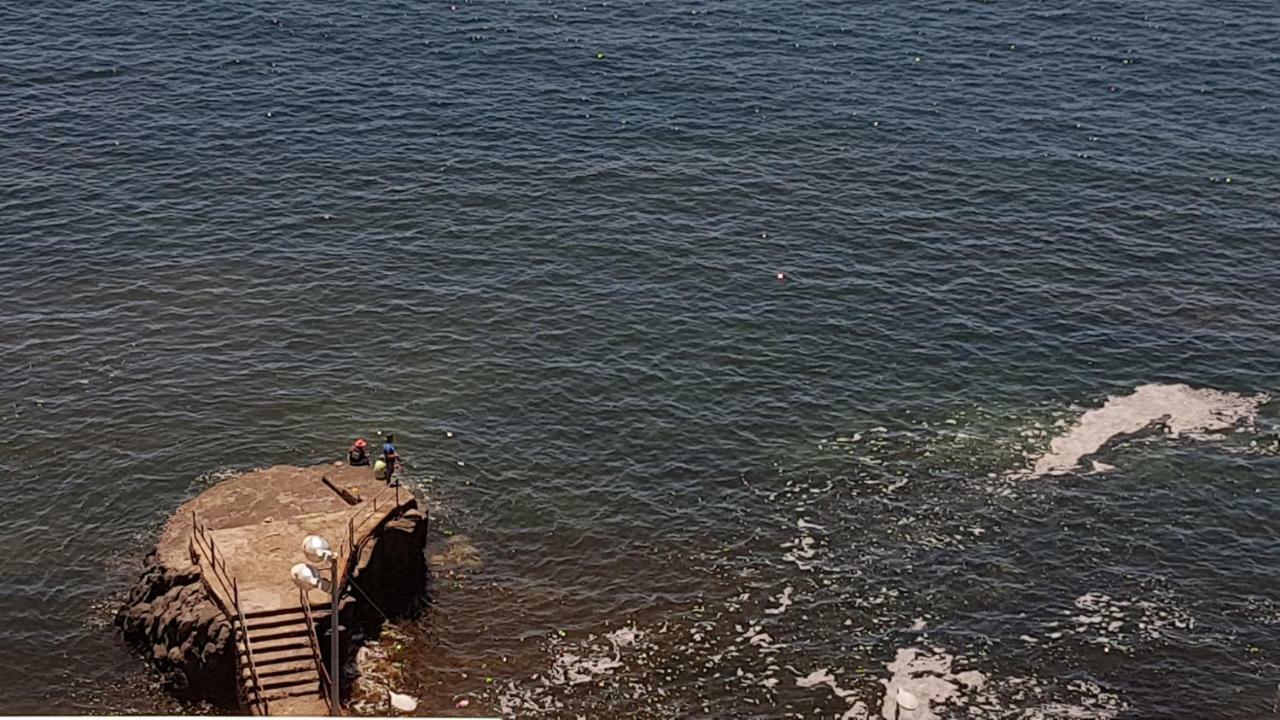 Hoya Baja 26 Διαμέρισμα Punta Del Hidalgo Εξωτερικό φωτογραφία